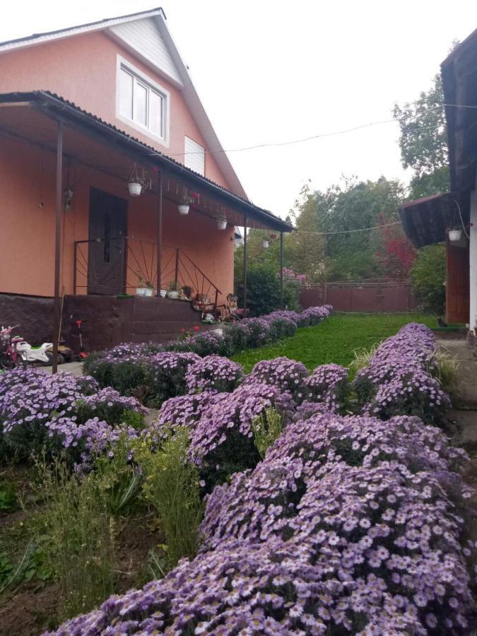 Gostynnyi Dvir U Marichky Hotel Lazeshchyna Exterior foto
